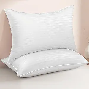 Heycuzi Queen Size Bed Pillows Set of 2
