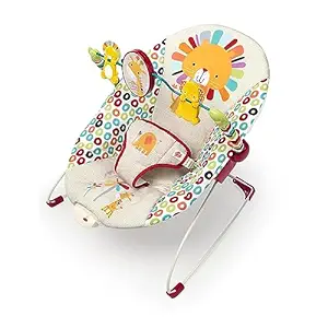 Bright Starts Portable Baby Bouncer