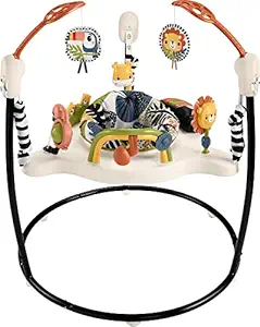 Fisher-Price Baby Bouncer Palm Paradise Jumperoo Activity Center