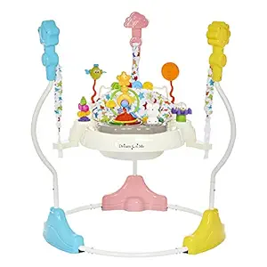 Dream On Me Zany 2-in-1 Baby Activity Center and Bouncer