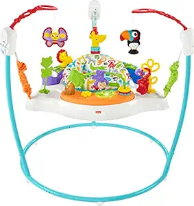 Fisher-Price Baby Bouncer Animal Activity Jumperoo