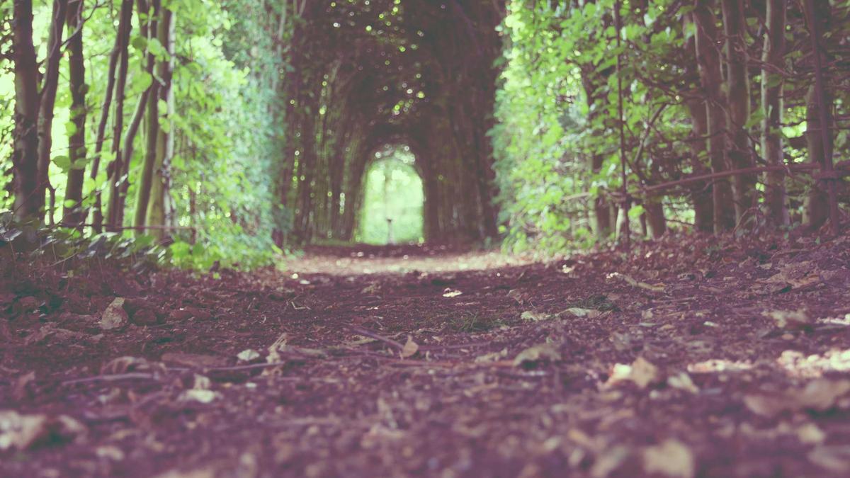 best car vacuum cleaning a car interior