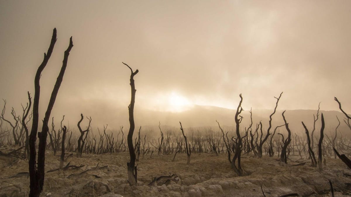 Carry-on luggage at an airport - best carry-on luggage 2026