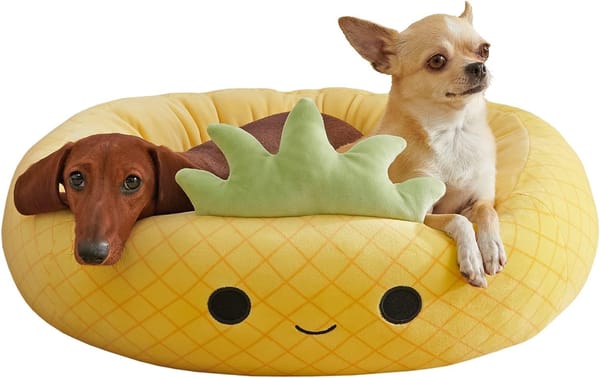 Squishmallow Pet Bed
