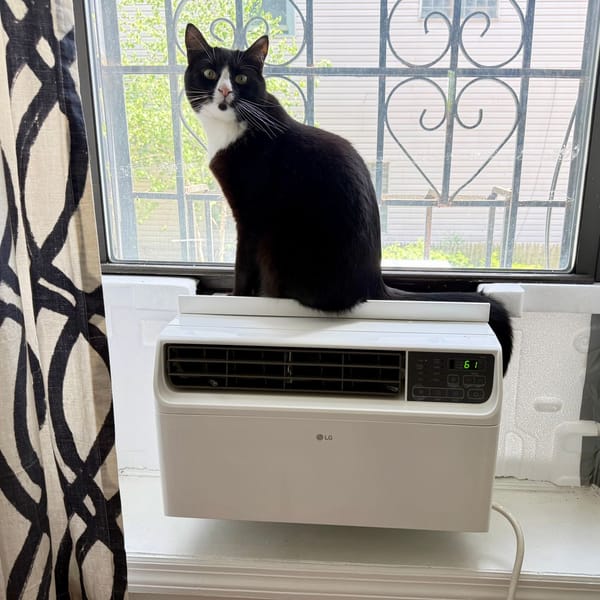 Best window air conditioner in a bedroom window