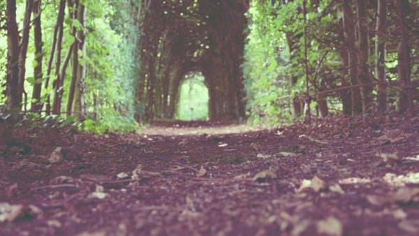 best car vacuum cleaning a car interior